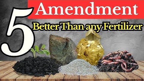 How 5 Hidden Minerals Triple Your Harvest (That Fertilizer Never Provides)?