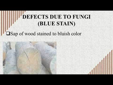 Timber Defects: A
