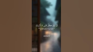 ﴿وَٱتَقُوا يَوْمًا تُرْجَعُونَ فِيهِ إِلَى اللَّه...﴾ تلاوة مؤثرة للقارئ الشيخ ياسر الدوسري ✨