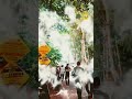 army #exam # tranding # short video