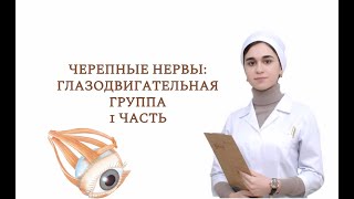 Черепные нервы: глазодвигательная группа (3, 4, 6 пары ЧМН). Анатомия, функция и дисфункция.