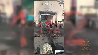 Пожар - естественный отбор!