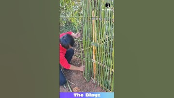 Bamboo Wall BUILDING Skills are NEXT-LEVEL! Village Hack You’ve Never Seen! 🎋🔥 #viral #wow #shorts