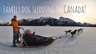 Family Dog Sledding Adventure! [Extended Cut]