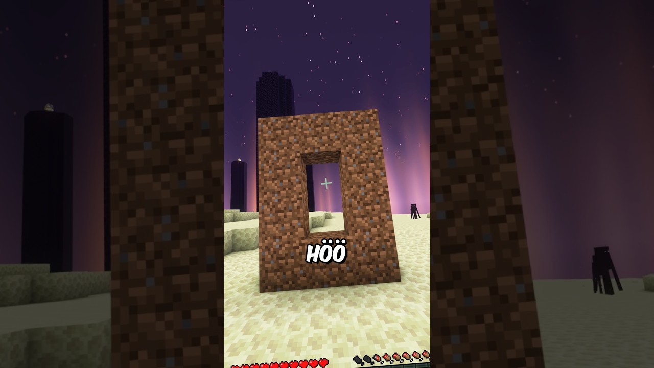 Es ist GEGENTEIL-TAG in MINECRAFT?!… #minecraft #toobad #diesereinefreund