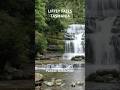 Escape Crowds at Tasmania’s Serene Liffey Falls