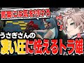 【ストグラ】うさぎさんの凄い圧に怯えるトラ雄【まちょ/NOLIMIT/街雄/切り抜き】