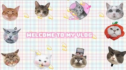 Mini Vlog Informatika Cara Membuat Blog