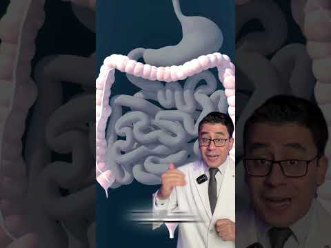 حقيقة اللانشون اللي هتصدمك