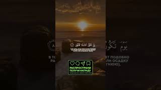 Quran #koran #субханаллах #напоминание