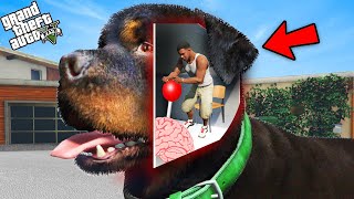 GTA 5 : Franklin Enter Chop's Head To Control Chop Brain in GTA 5!(GTA 5 mods) screenshot 1