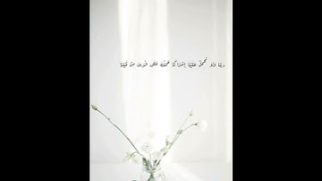 لَا يُكَلَّفُ اللَّهُ نَفْسًا إلَّا وُسْعَهَا 💚حالات واتس اب قرآن🌾 كريم تلاوة خاشعة Quran status ♥️