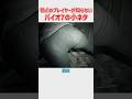 意外と知られていないバイオハザード7の小ネタ