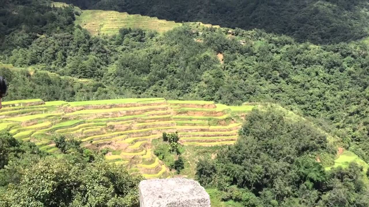 フィリピン コルディリェーラの棚田群 バナウェにある天国への階段と呼ばれる世界遺産