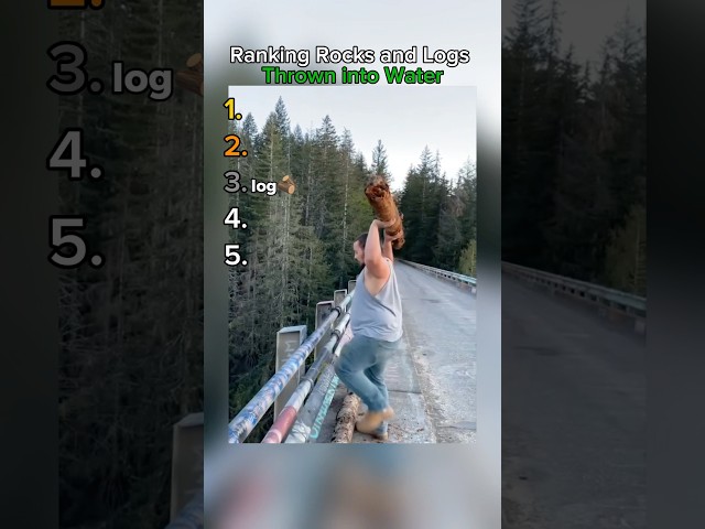 Ranking Rocks and Logs Thrown into Water Video Thumbnail