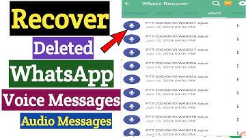WhatsApp Deleted Voice Messages Recovery | Restore WhatsApp Voice Messages