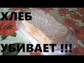 Почему я отказался от хлеба. Вред хлеба. Хлеб убивает?