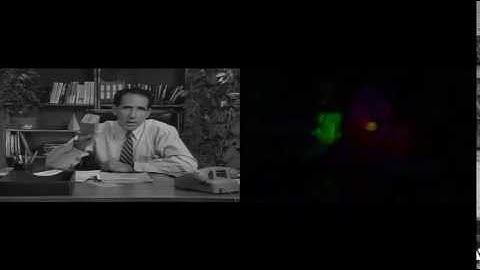 Horn Schunck Optic Flow