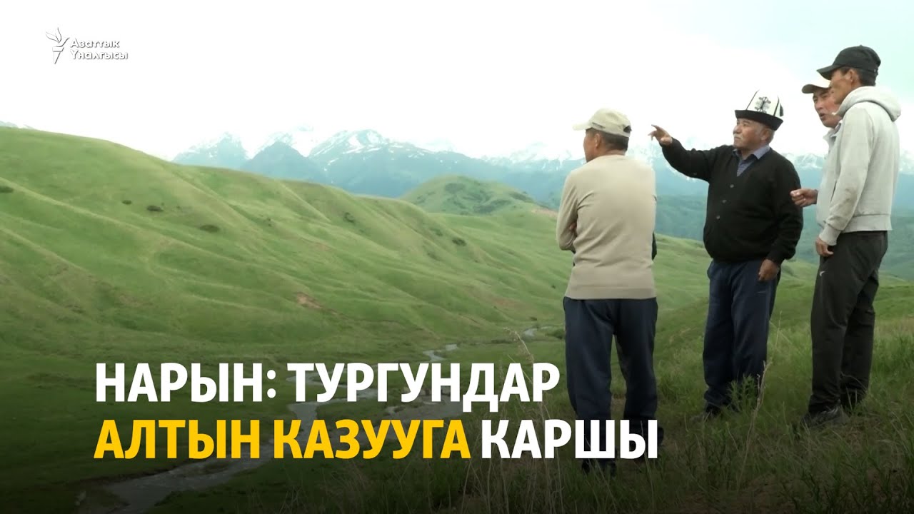 Нарын: тургундар алтын казууга каршы