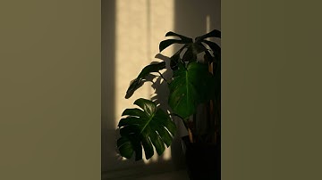 من سورة الفرقان