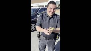 Daring Duckling Rescue in Malden MA
