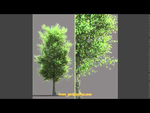 maxscript tree generator