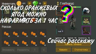 Сколько ягод можно нафармить в игре зомбикс онлайн(Zombix Online) за 1 час