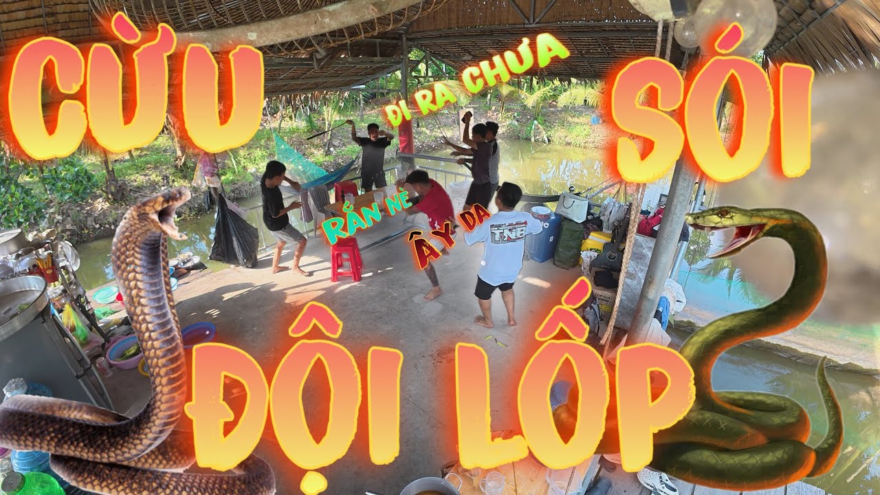 TNB - Tưởng Mình Là Sói Hóa Ra Lại Là Cừu ! Cay Vãi | Thanh Nhã Vlog