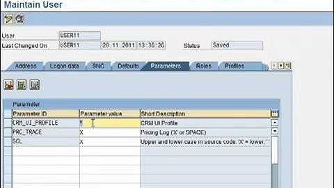 Conf  SAP CRM 7 0 Overview
