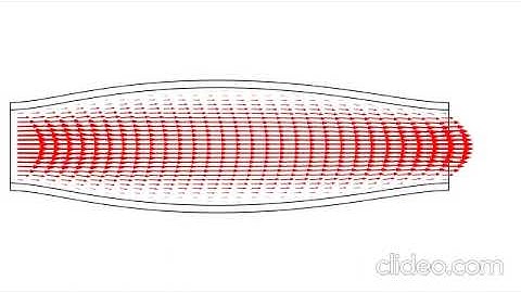 Simulating Pulsatile flow through a deformable micro-channel: Fluid structure interaction(FSI)