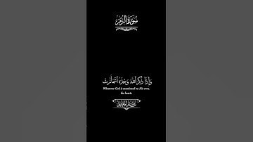 تلاوة خاشعة ماهر المعيقلي سورة الزمر #تلاوة #المعيقلي #الزمر
