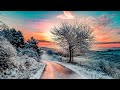 ❄ Beautiful Winter Snow Relaxing Piano Music -  Deep Sleep Music - Meditation Study Spa Yoga Music