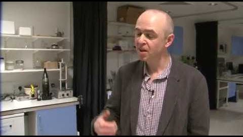 MRes - Biomedical Research, Integrative and Translational Programme