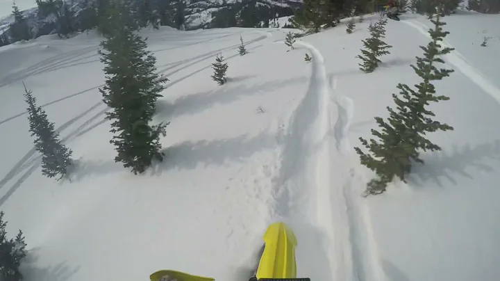 Timber sledding with Jedd