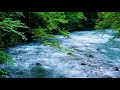 The Mountain River Flowing Sound. Blue Water, Nature Sounds, Forest River, White Noise for Sleeping.
