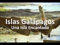 Una Isla Encantada - Galápagos # 1 | La Ruta de Enrique