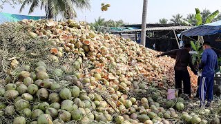 Coconut Paradise! Amazing Coconut Cutting Skills - Thai Street Food