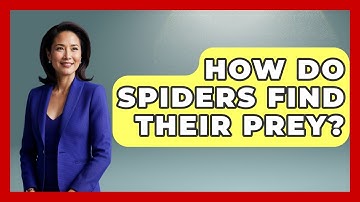 How Do Spiders Find Their Prey? - Insects and Invaders