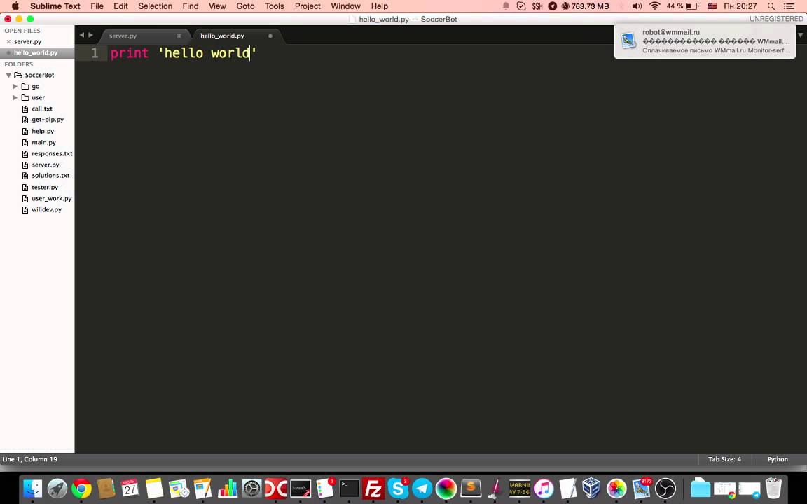 Write hello world. Write hello world