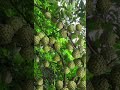 حالات واتس احذرمن الناس فؤادالكبسي