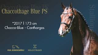 Chaccothage Blue PS - Jumping Collection Schockemoehle & Helgstrand 2022 (ENG)