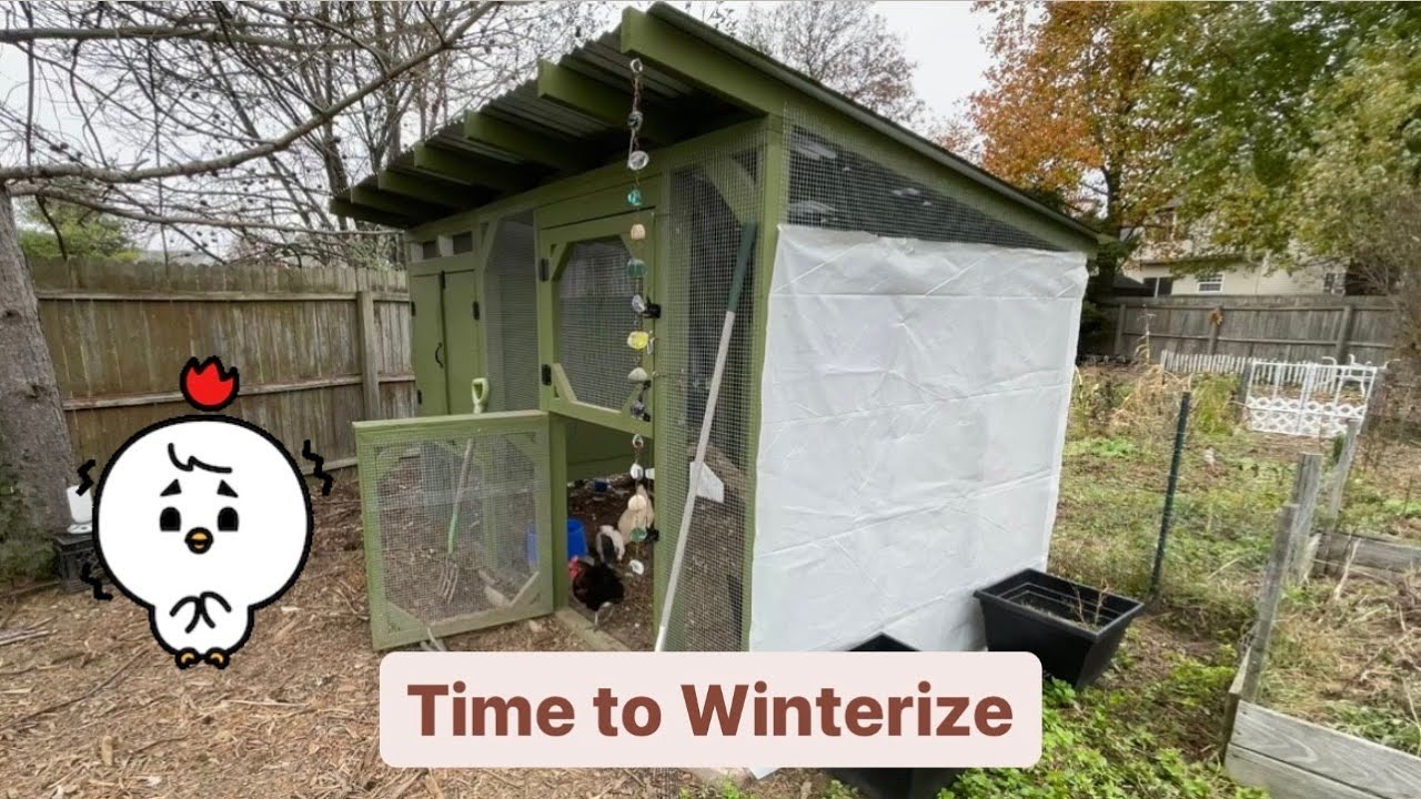 Preparing Our Chicken Coop For Winter YouTube