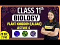 Biology For Class11th | Plant Kingdom | Algae | Biology By Radhika Mam | Lecture 6