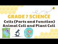 Cells (Parts and Functions), Plant and Animal Cell | Grade 7 Science DepEd MELC Quarter 2 Module 4