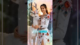 Oakwood House Christmas Video 