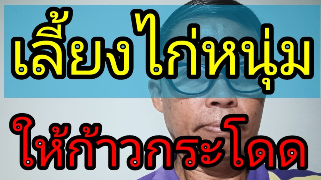 เลี้ยงไก่หนุ่มให้ก้าวกระโดด