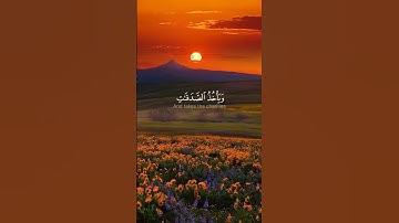 تلاوة مؤثرة | ﴿ألم يعلموا أن الله هو يقبل التوبة عن عباده﴾ | الشيخ ياسر الدوسري #قرآن  #تلاوة