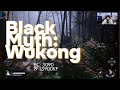 Black Myth Wukong - Rodando no meu PC!