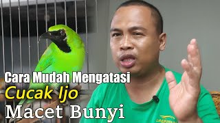 8 EASIEST WAYS TO OVERCOME GREEN EYE STUFF || THERAPY FOR GREEN EYE STUFF