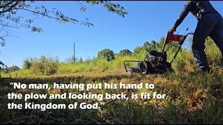 Bush Hoggin 2026, Field and Brush Mower Clearing Thick SC Woods.